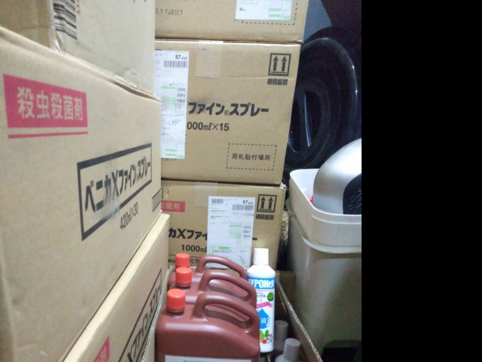 Menedael 5L (メネデール) 5L เมเนเดล ขนาด5ลิตร (Menedael 5L) น้ำยาเร่งราก ฟื้นฟูต้นไม้ ปลอดภัย ไม่ใช่สารเคมี สินค้านำเข้าจากญี่ปุ่น