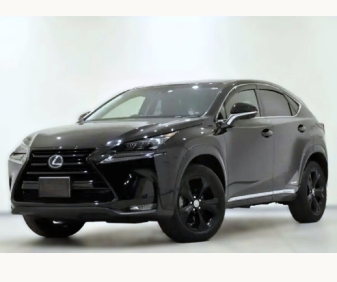 LEXUS Genuine RADIATOR GRILLE LOWER MOLDING คิ้วกระจังหน้า LEXUS NX200 NX300 AGZ10/15 AYZ10/15 ปีPeriod ถึง 2017/08 (Pre-order product, takes 25-30 days by ship)